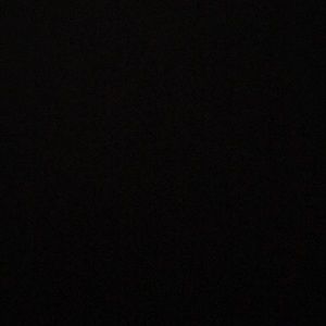 Meet your Posher, Emmie